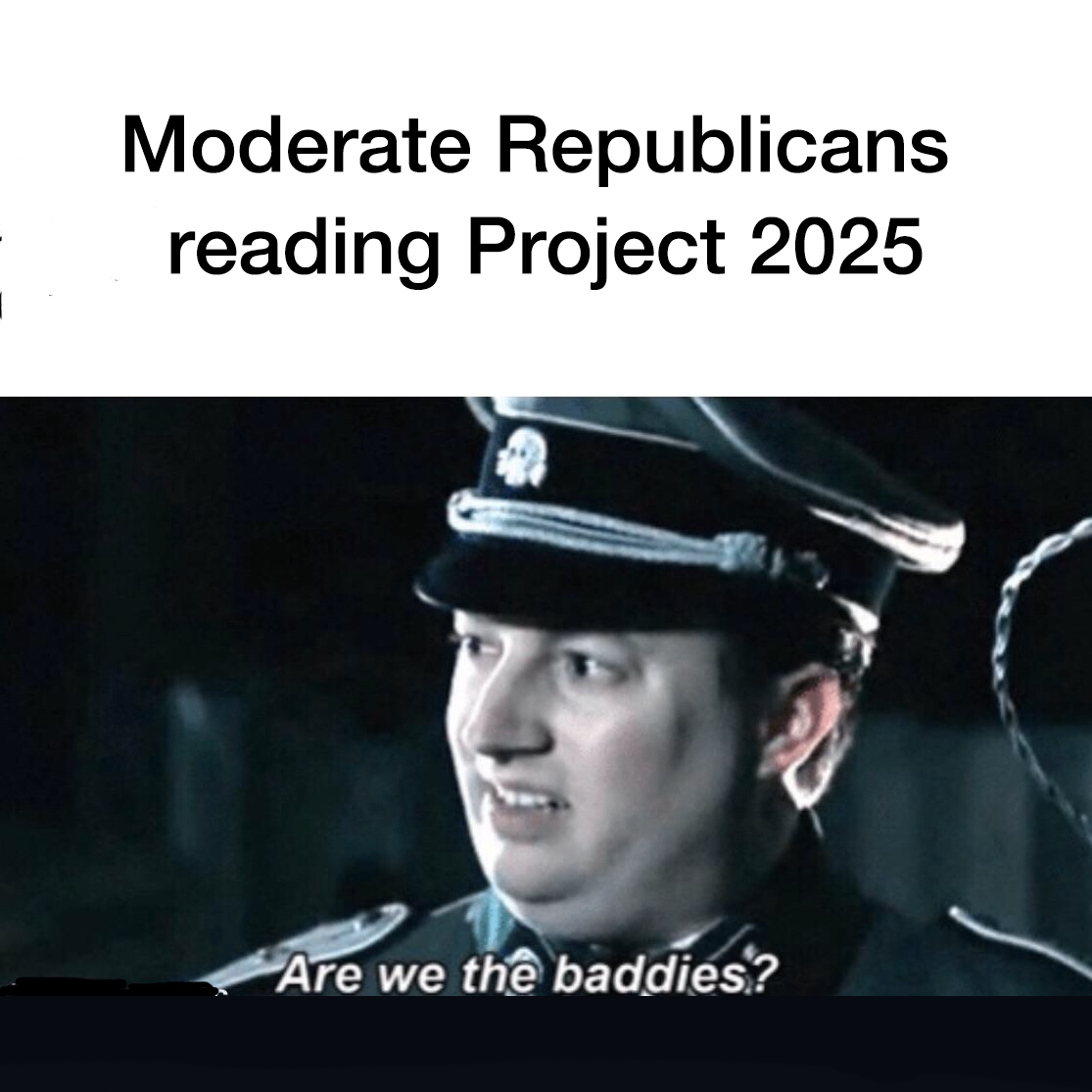 Project_2025_-_Are_we_the_baddies.png